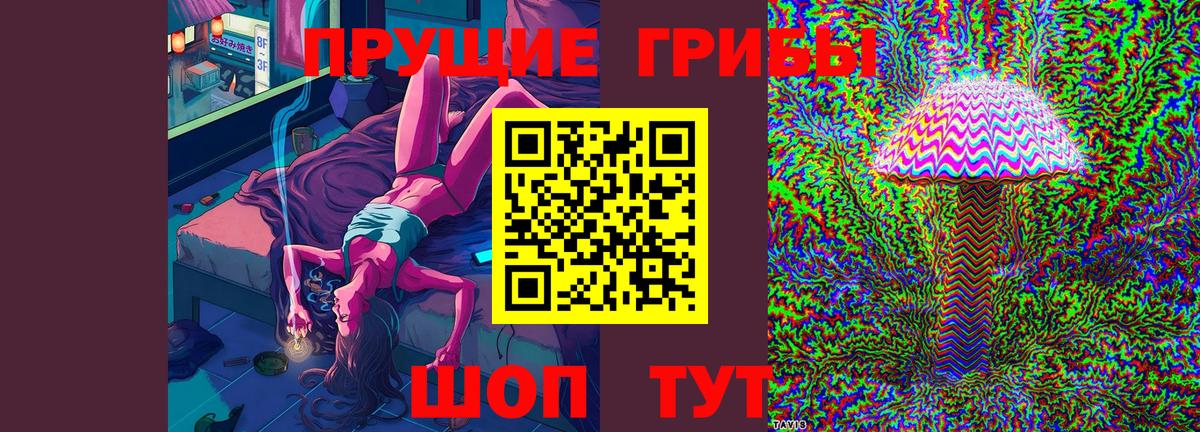 Галлюциногенные грибы Psilocybine cubensis Биробиджан