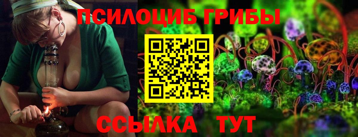 Биробиджан  Галлюциногенные грибы Psilocybe  наркотики  Вход с VPN 